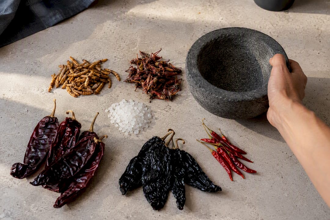 Chinicuiles, chiles y sal gruesa