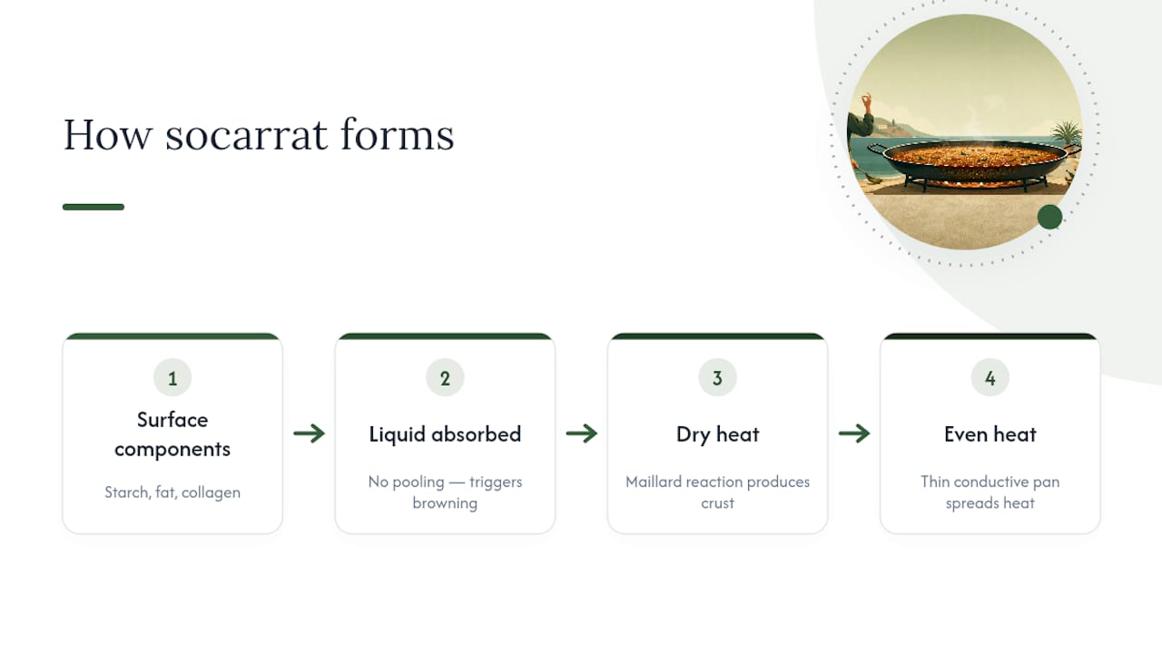 How ingredients form socarrat crust