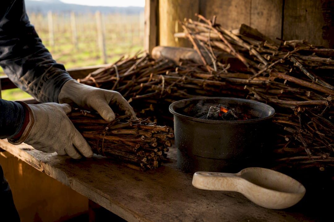 Grapevine cuttings beside a charcoal brazier
