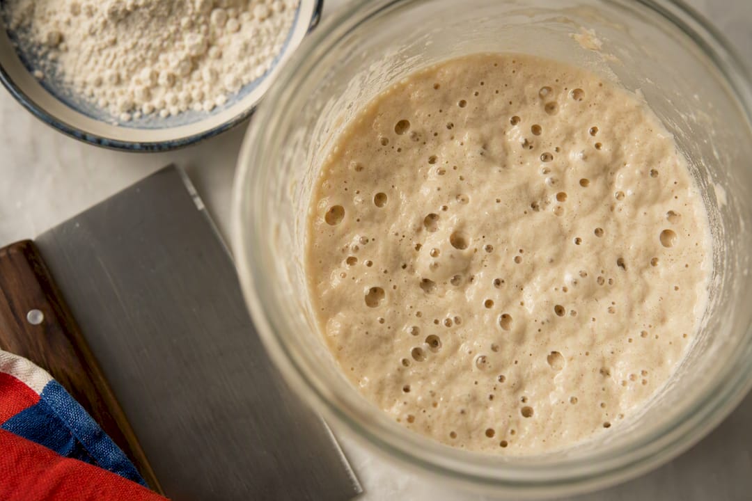 Masa madre activa para pizza fermentada