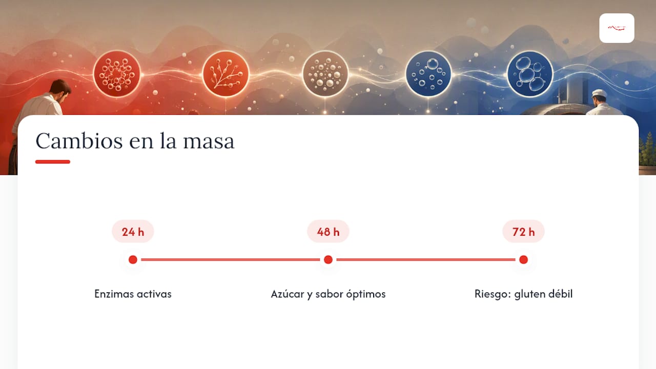 Efectos de la fermentación en frío según el tiempo