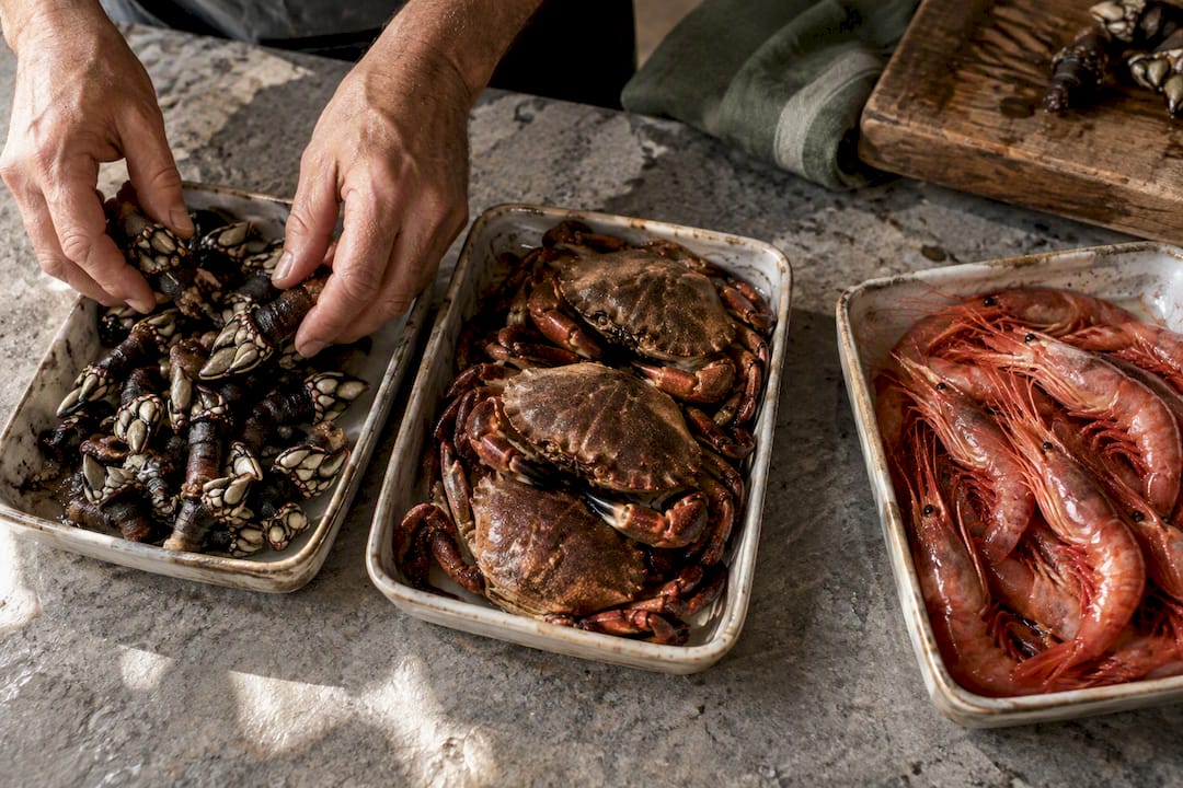 Percebes nécora and gamba at market