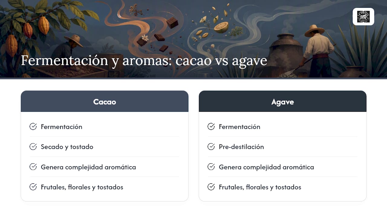 Procesos de fermentación del cacao y del agave