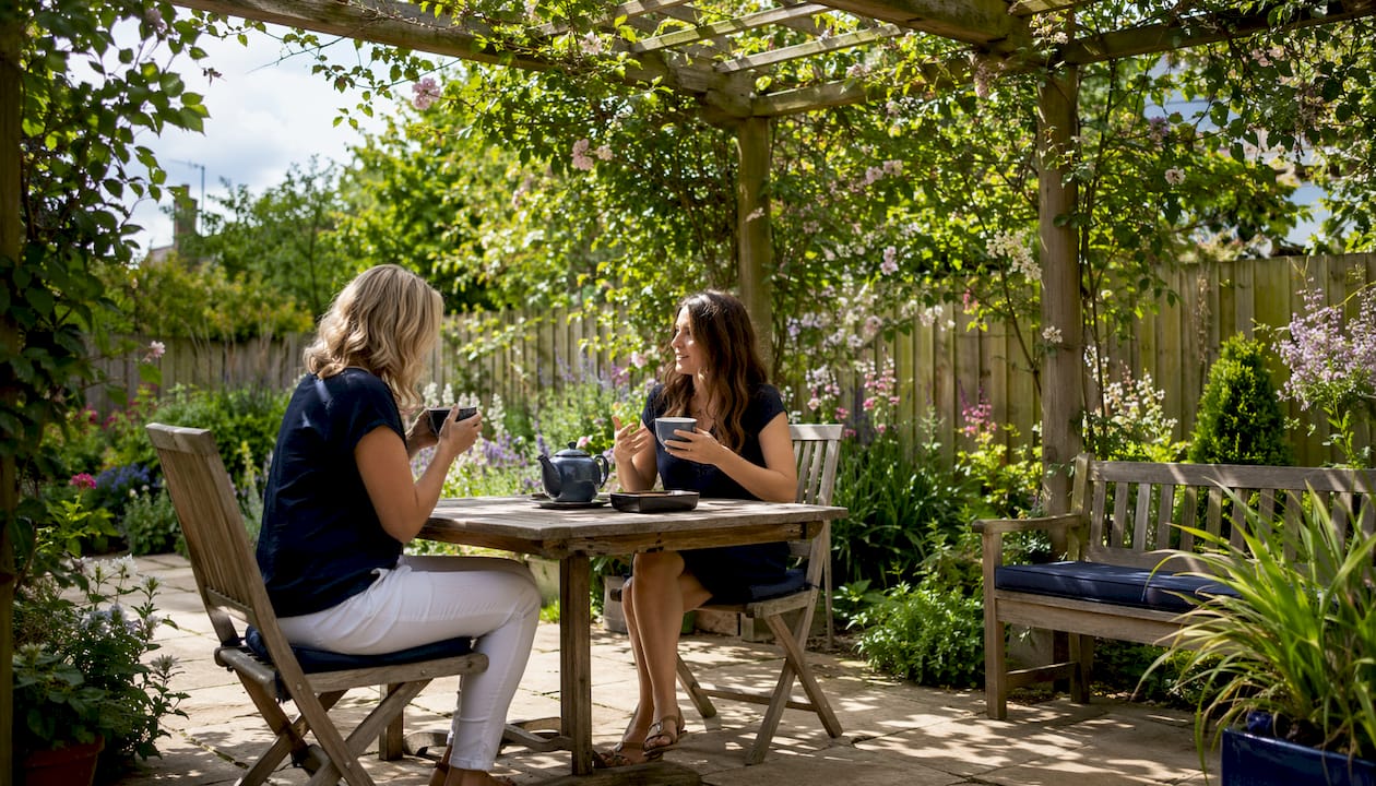 Wooden pergola with climbing plants in UK garden