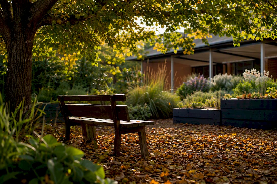 Shaded bench under tree in school playground
