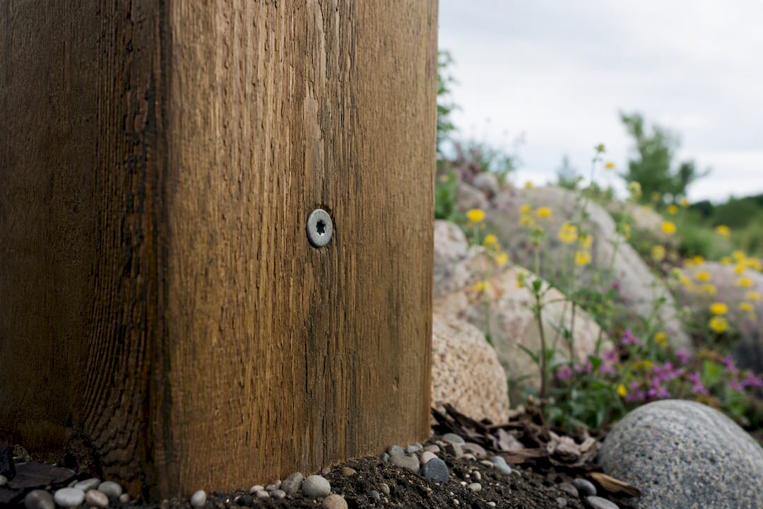 Close-up of treated timber with corrosion-resistant fixing