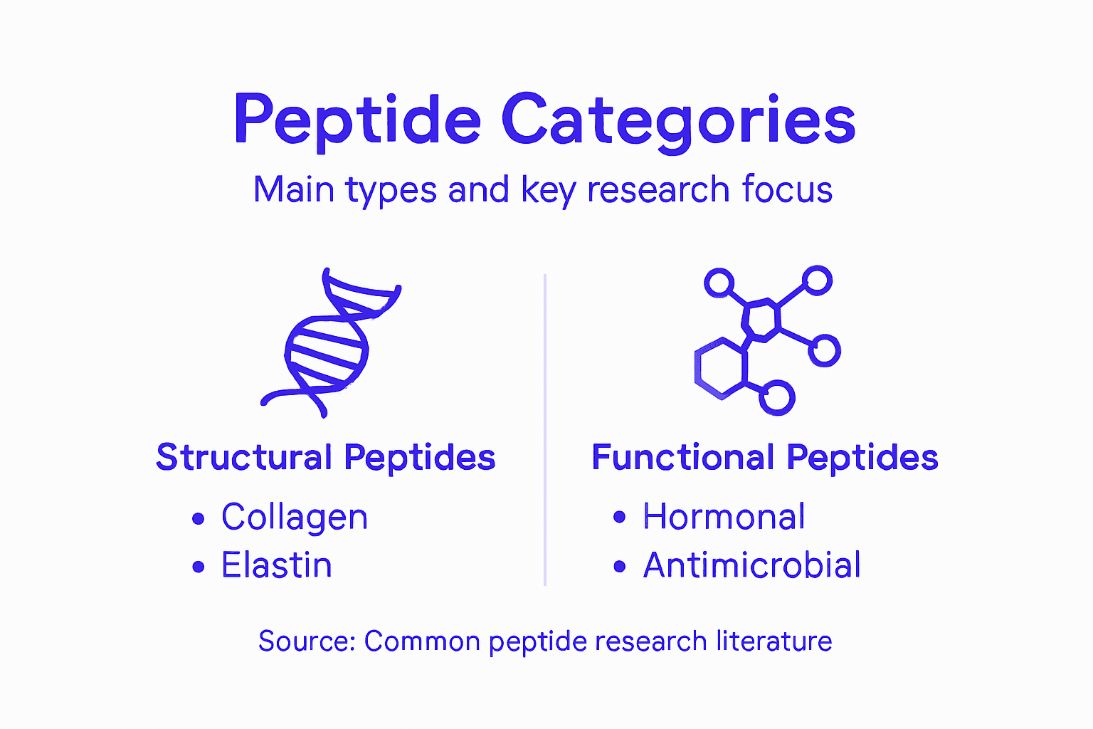 Infographic of peptide categories and functions