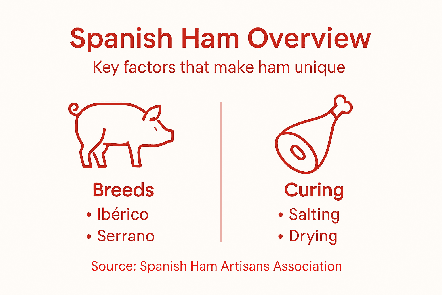 Infographic showing Spanish ham breeds and curing steps