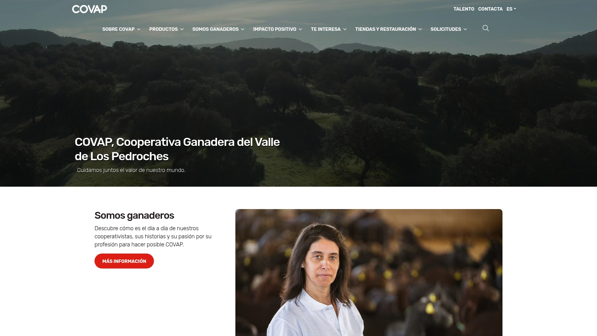 Top 5 Cincojotas.com Alternatives 2026 6 Product Screenshot