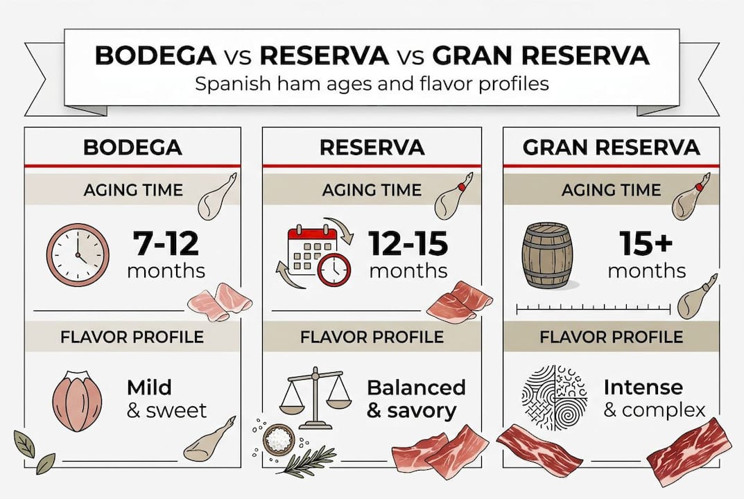 Bodega ham explained: Spanish cured ham for beginners 4 Infographic comparing Spanish ham aging grades