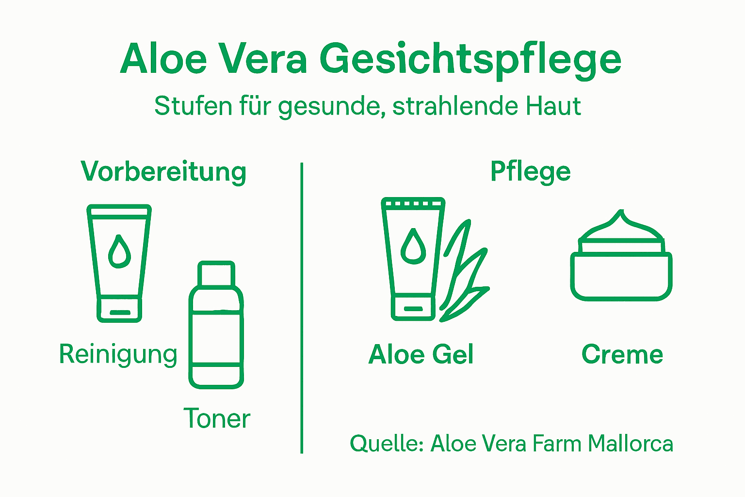 Aloe Vera – Deine Pflegeroutine für strahlende Haut (Infografik)