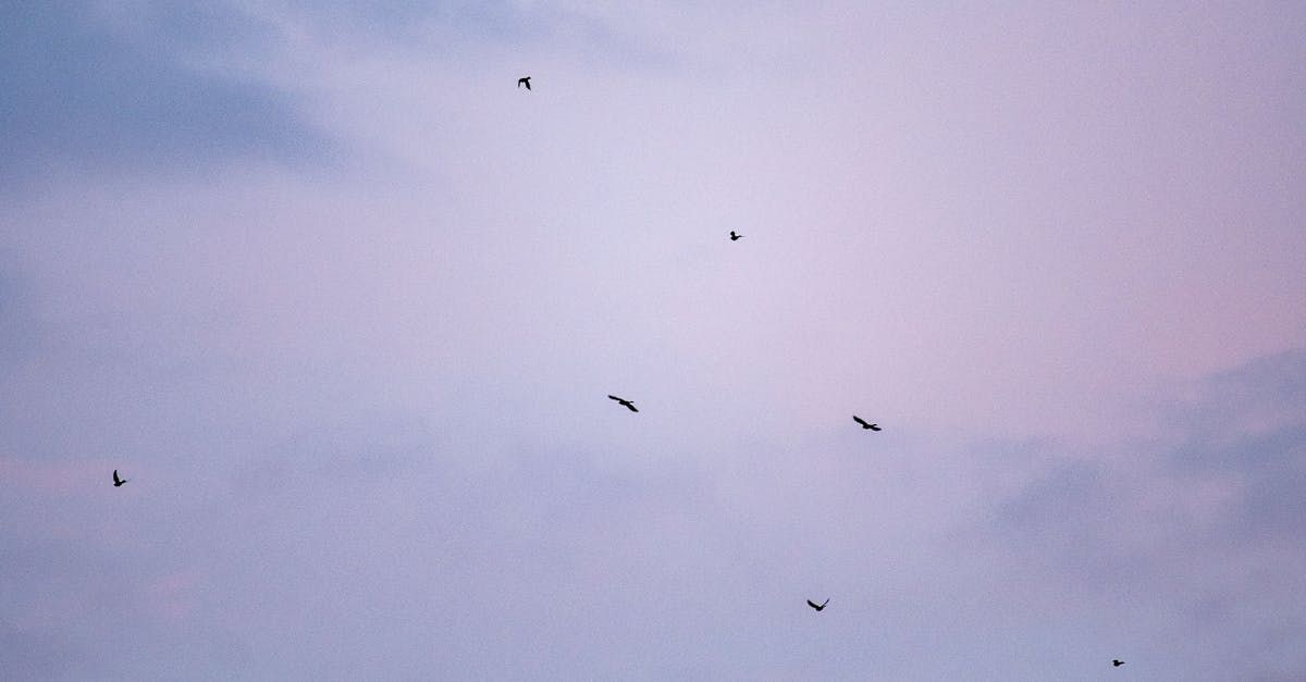 South African red wine blend bottle and vineyard
