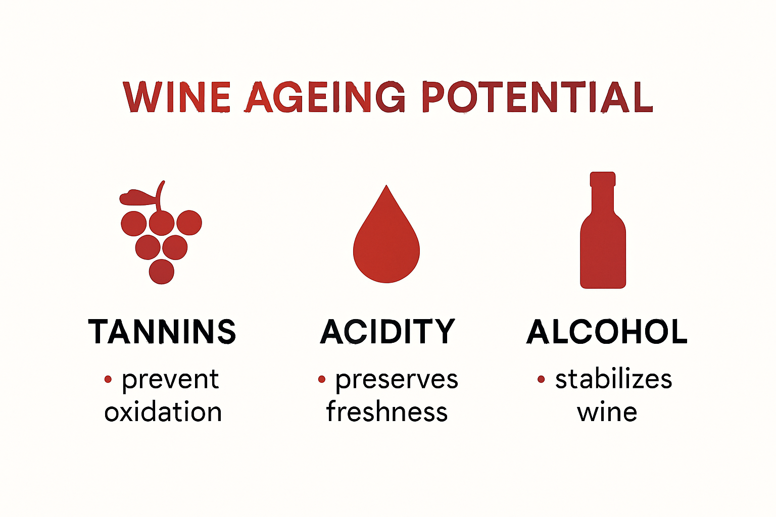 Infographic showing wine aging structure: tannins, acidity, alcohol