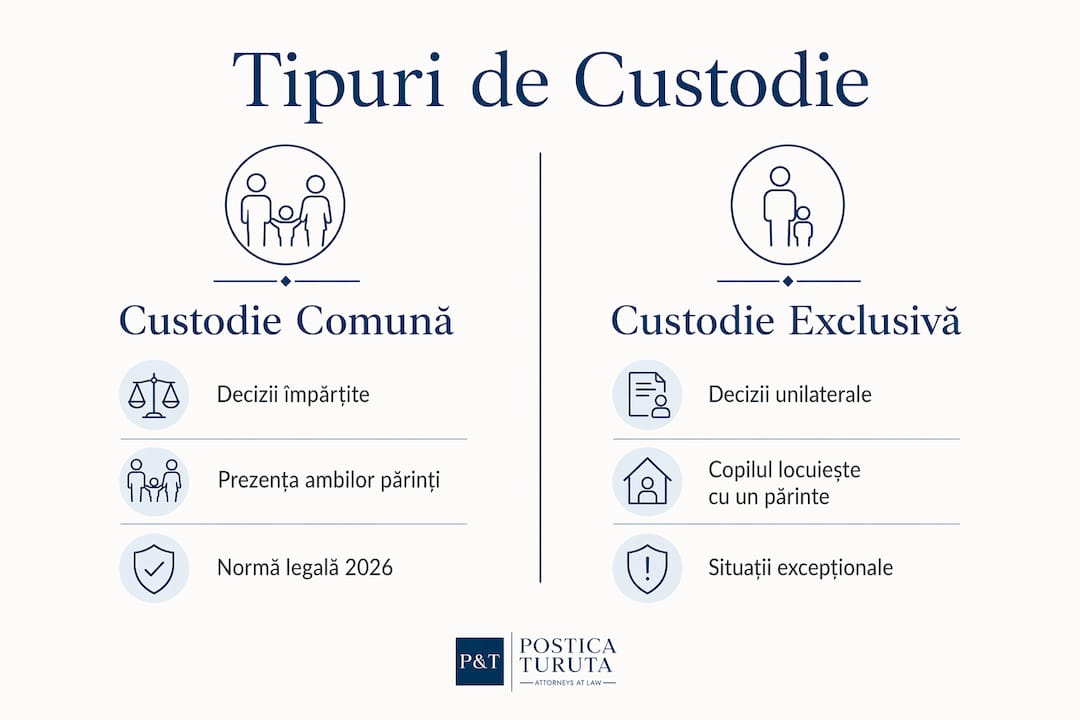 Infografic: comparație între principalele forme de custodie a copilului