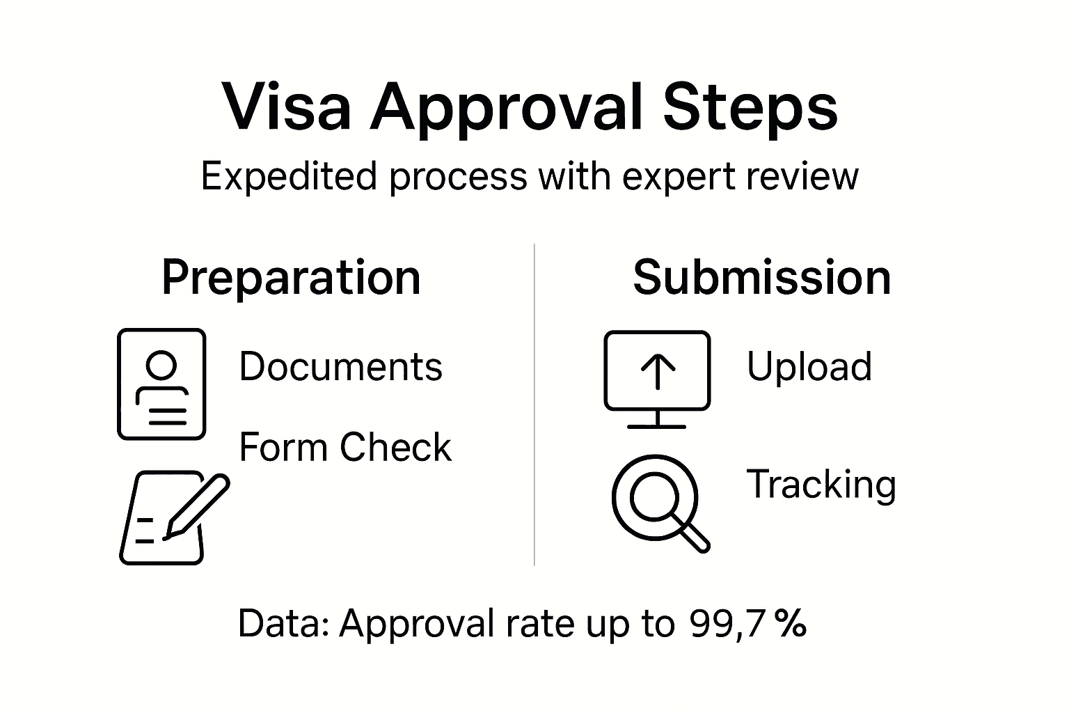 Infographic showing expedited visa steps and categories