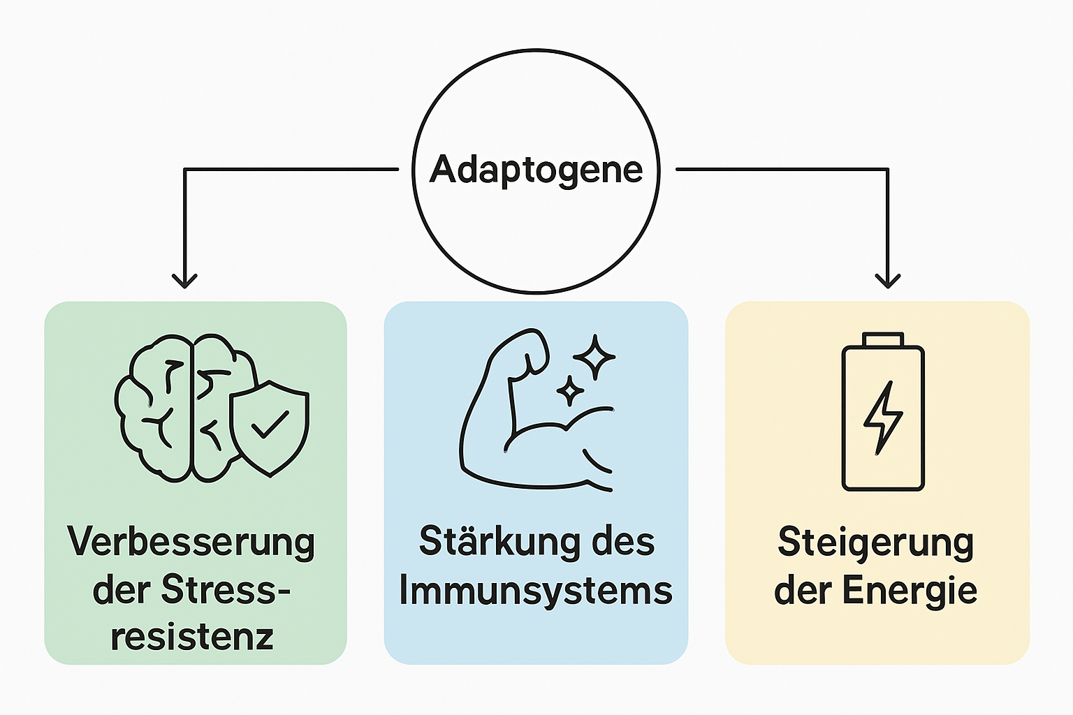 Infographic with three icons for adaptogen benefits: stress resistance, immunity, and energy