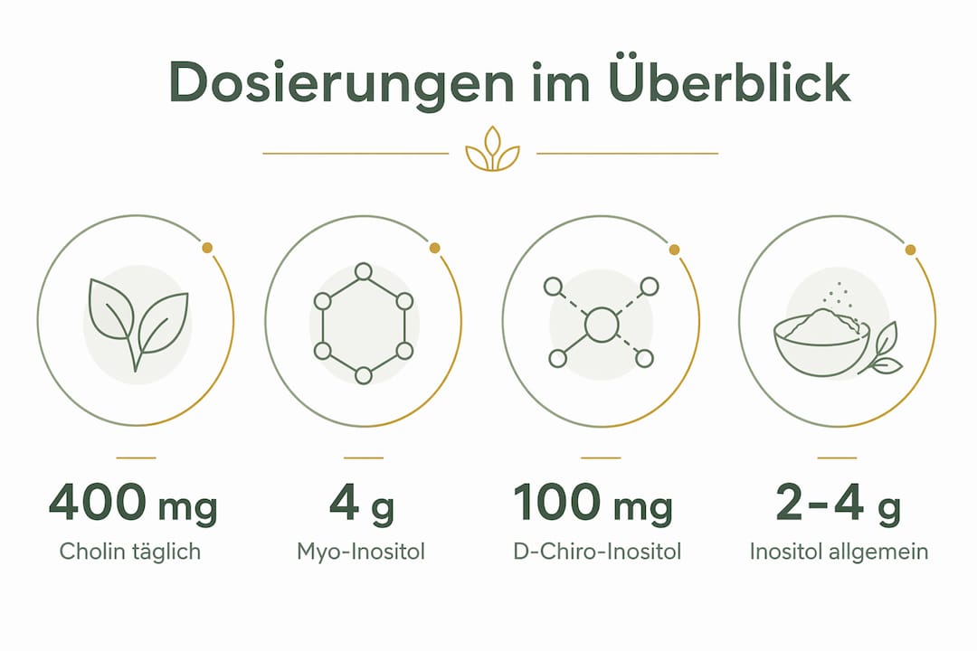 Empfohlene Einnahmemengen für Cholin und Inositol im Überblick
