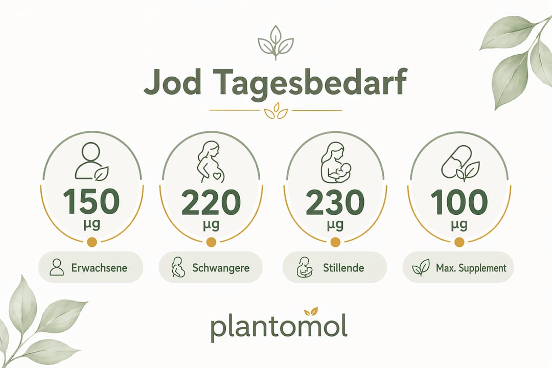 Übersichtliche Grafik: Empfohlene Tagesdosis und maximale Aufnahmemenge von Jod auf einen Blick