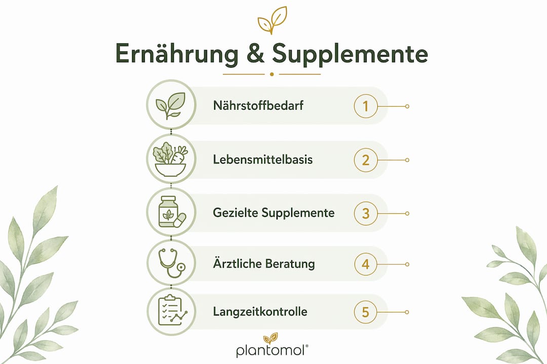 Übersicht: Ernährung und Nahrungsergänzung während der Wechseljahre – Worauf kommt es jetzt an?