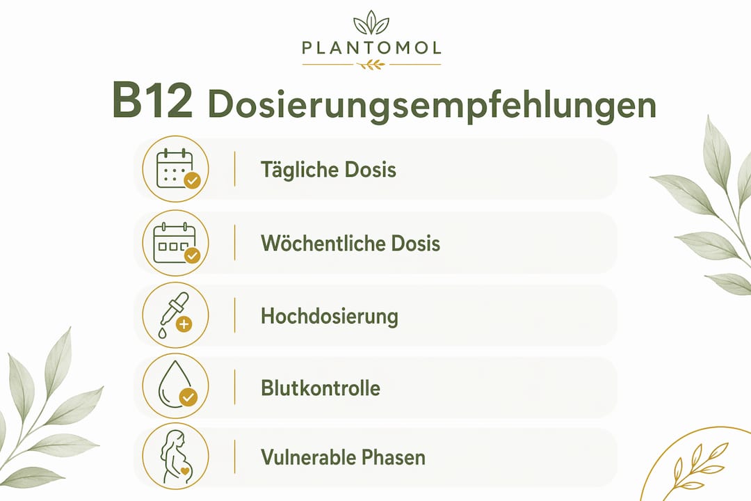 Übersichtsgrafik: Empfohlene B12-Dosierung für Veganer:innen auf einen Blick