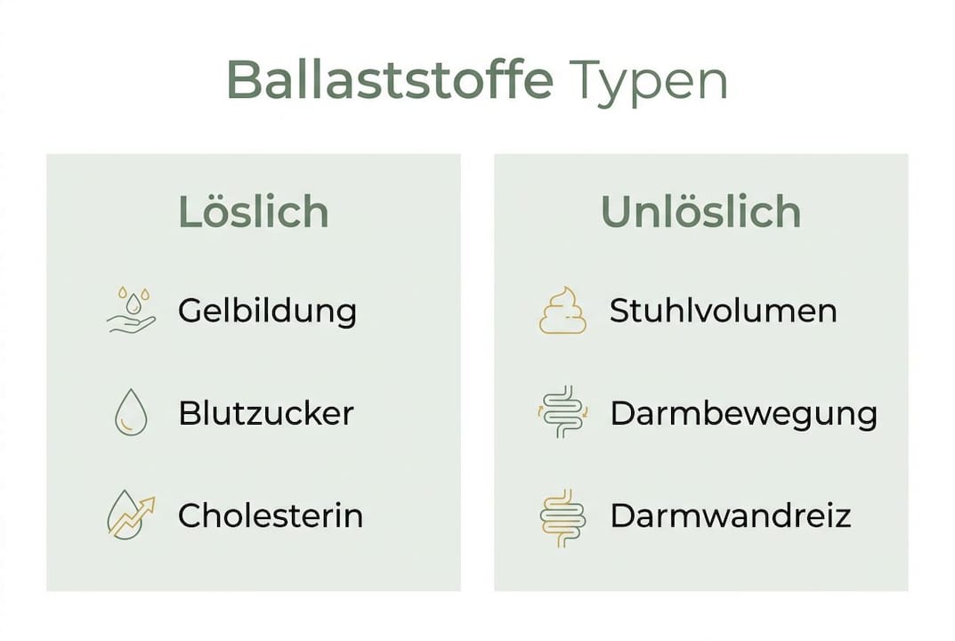 Infografik: Unterschiede zwischen löslichen und unlöslichen Ballaststoffen auf einen Blick