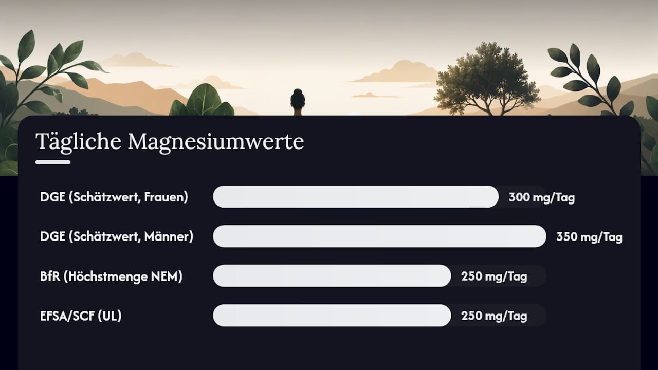 Übersichtstabelle: Empfohlene Tagesmengen für die Magnesiumzufuhr