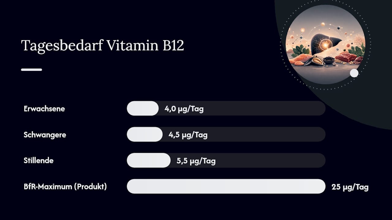 Empfohlene Vitamin-B12-Zufuhr: Alters- und situationsabhängige Richtwerte