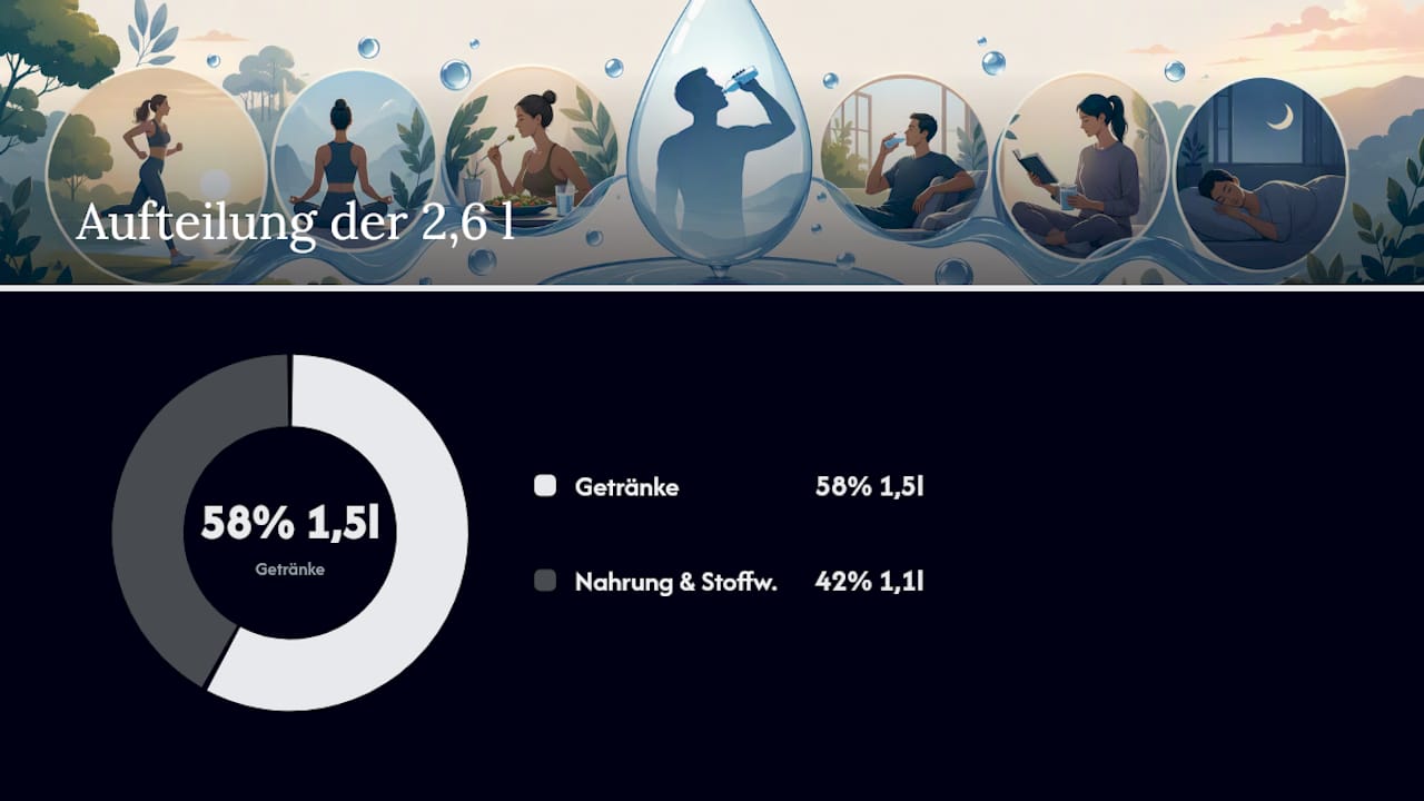 Die Zusammensetzung der täglichen Wasseraufnahme