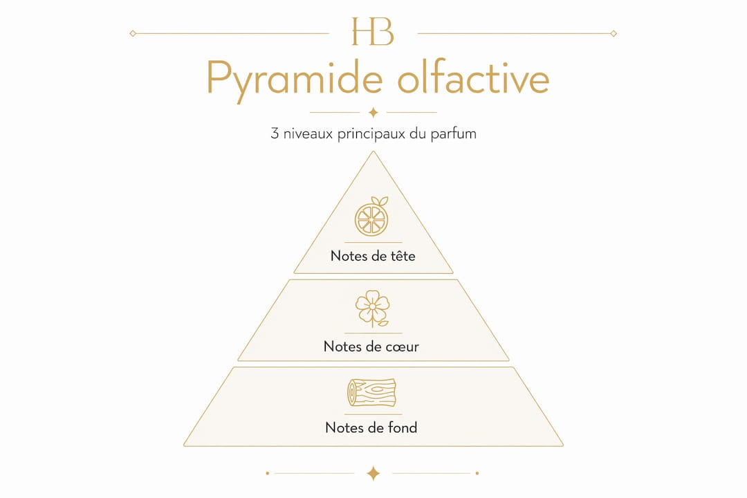 Schéma illustrant la structure de la pyramide olfactive