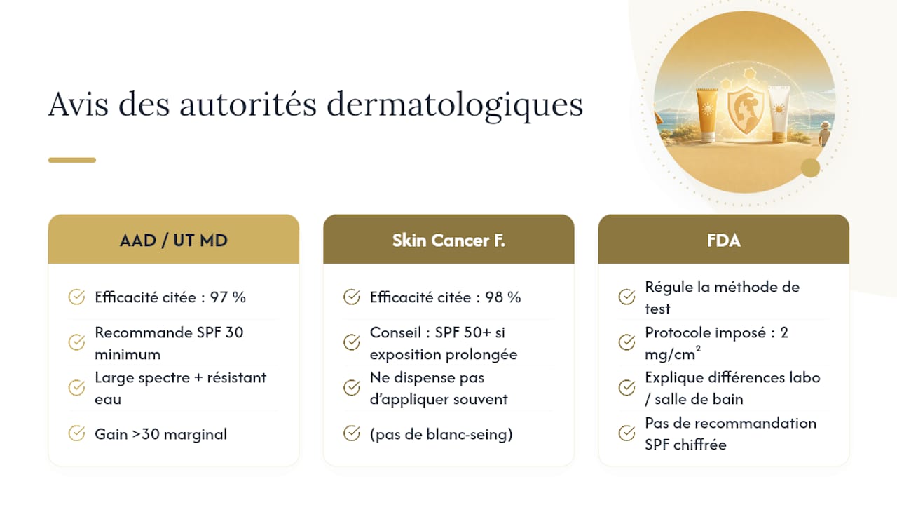 Ce que disent les autorités dermatologiques sur SPF 30 vs 50 — overview diagram