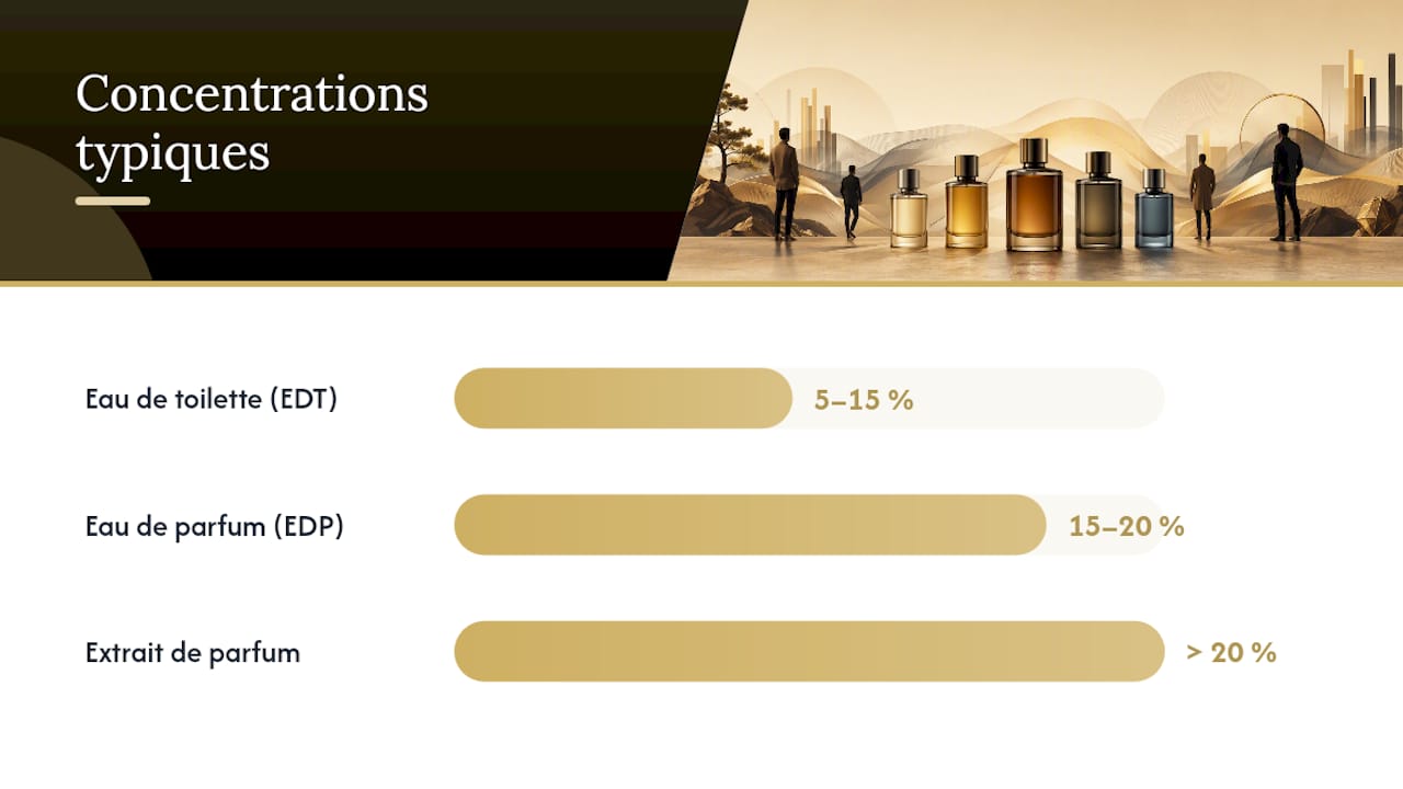 Comment choisir votre parfum Hugo Boss selon vos critères — overview diagram