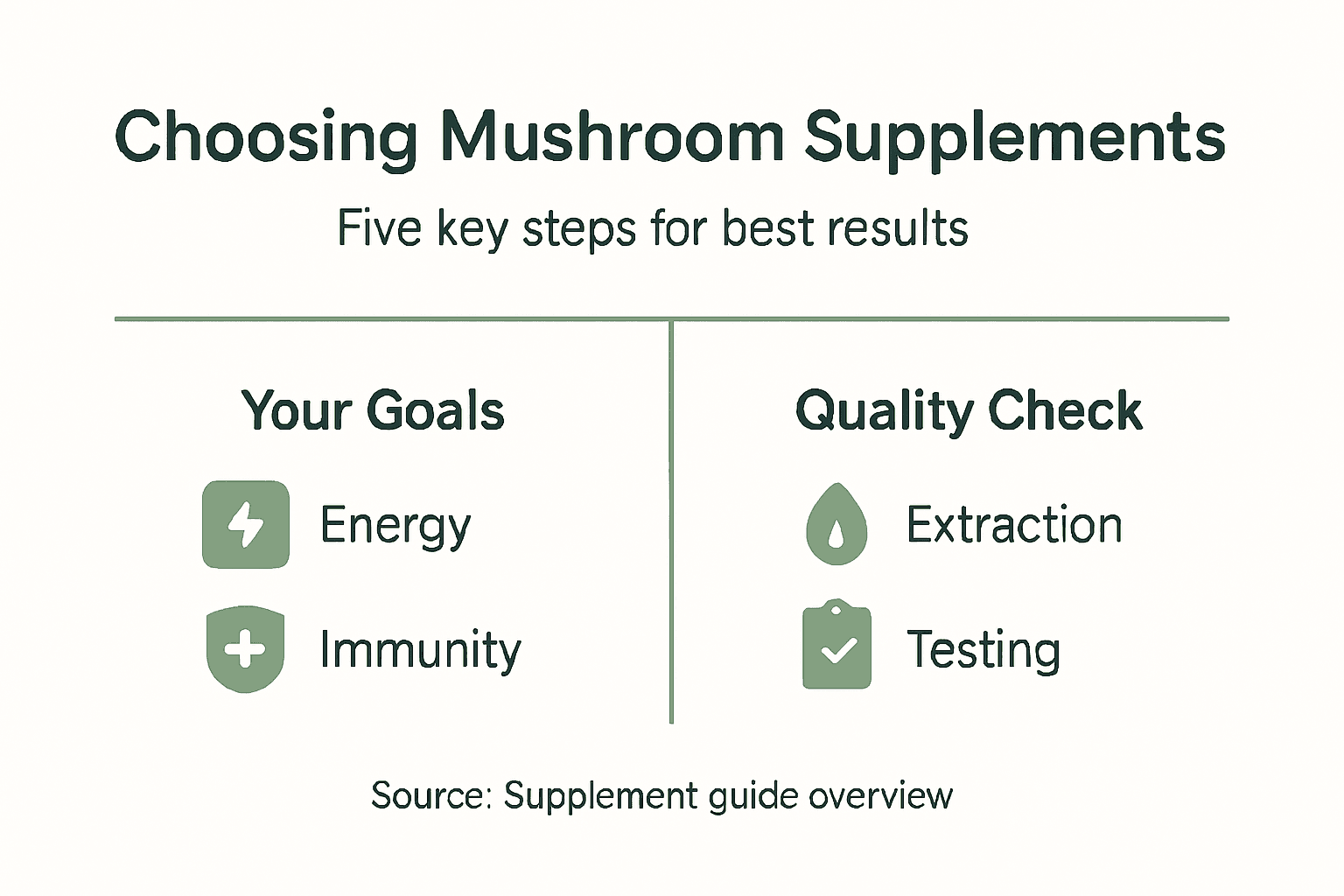 Infographic on mushroom supplement selection steps