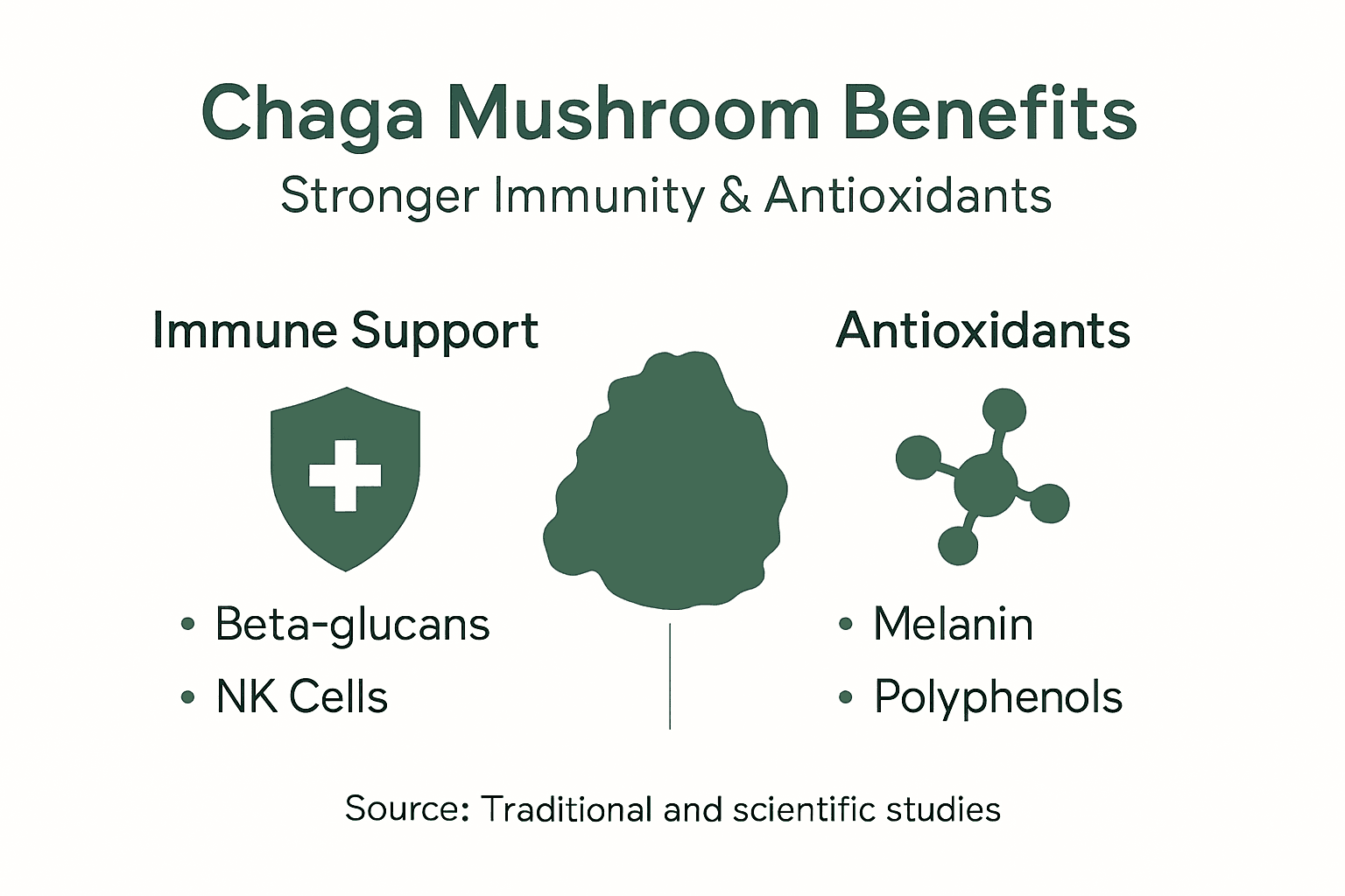 Infographic summarizes chaga immune and antioxidant roles