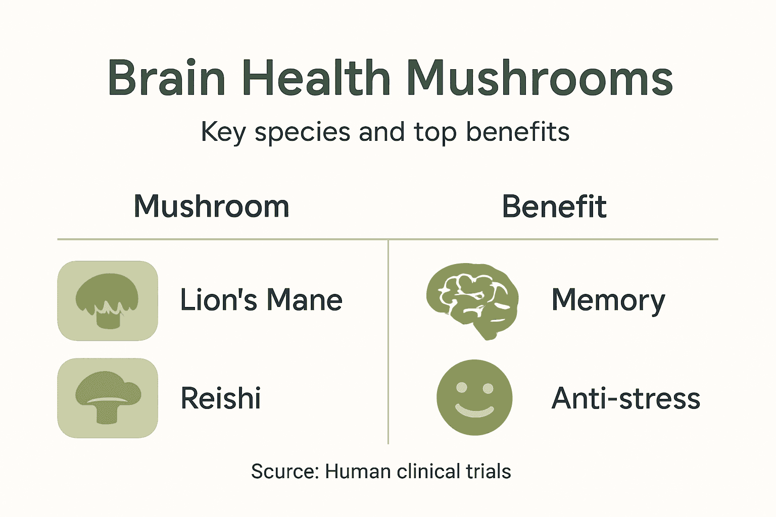 Infographic with brain health mushrooms and main benefits