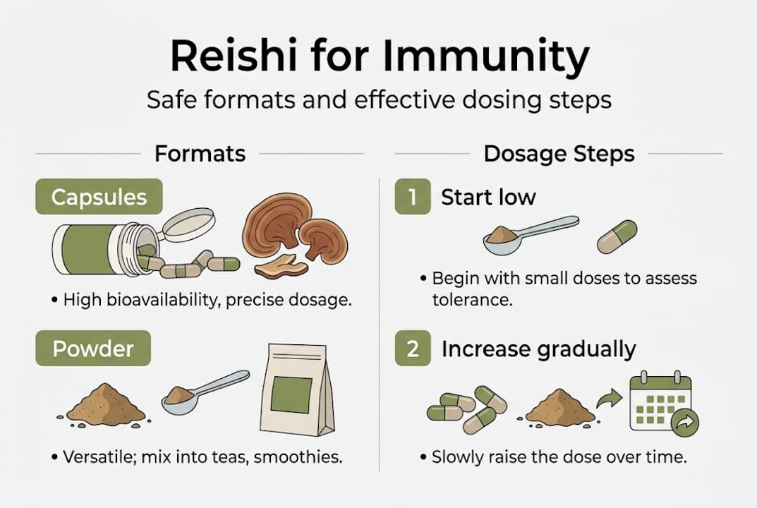 Infographic showing reishi formats and dosing steps
