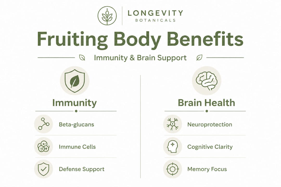 Infographic comparing immune and brain health benefits