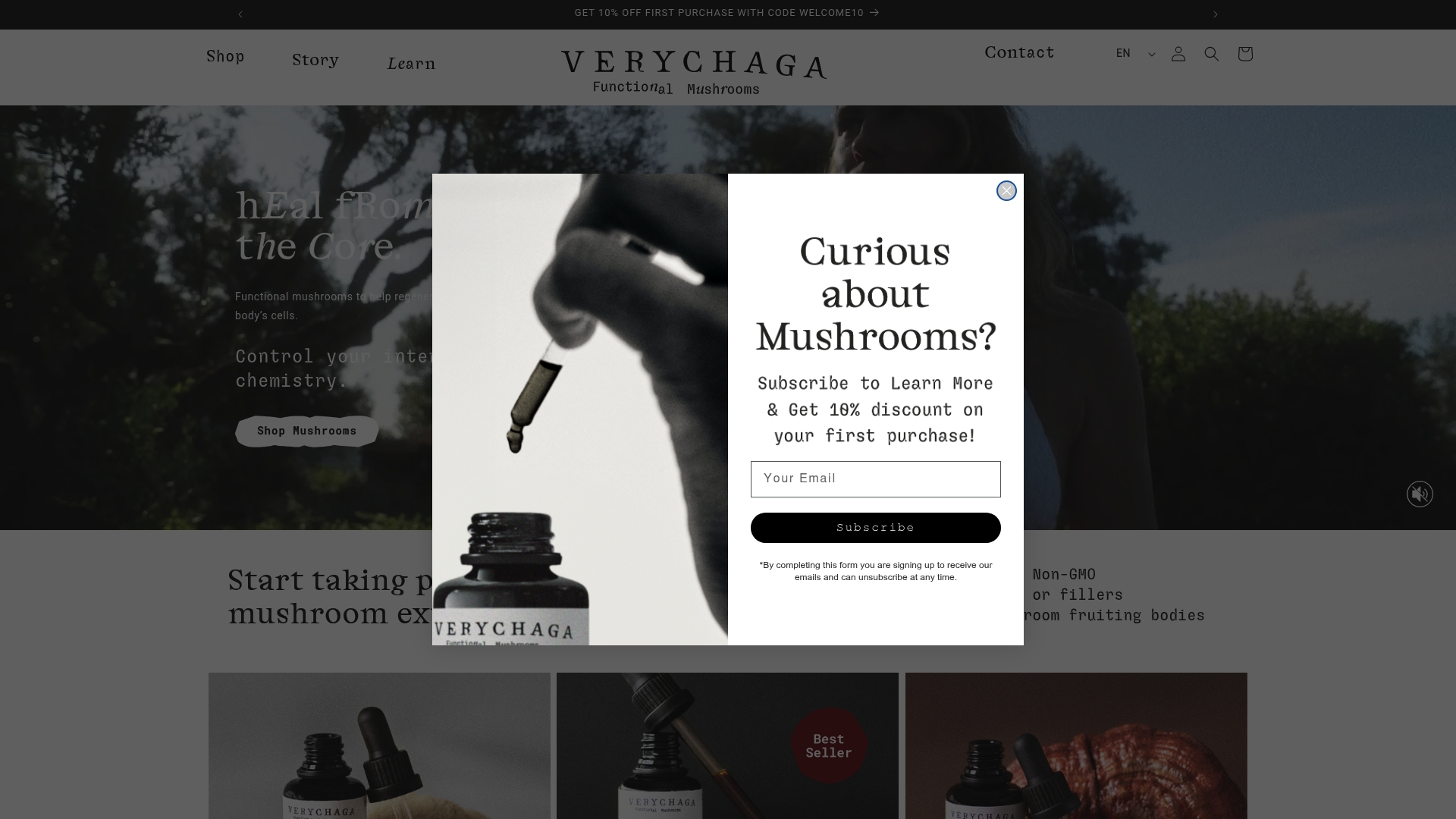 https://verychaga.com