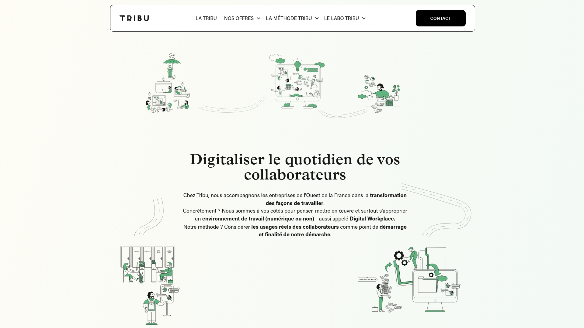 https://tribu-conseil.com