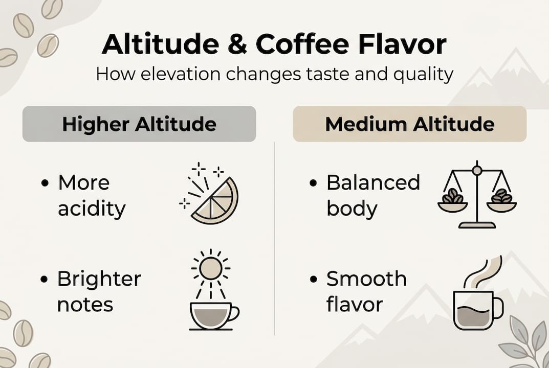 Infographic showing altitude and coffee taste factors