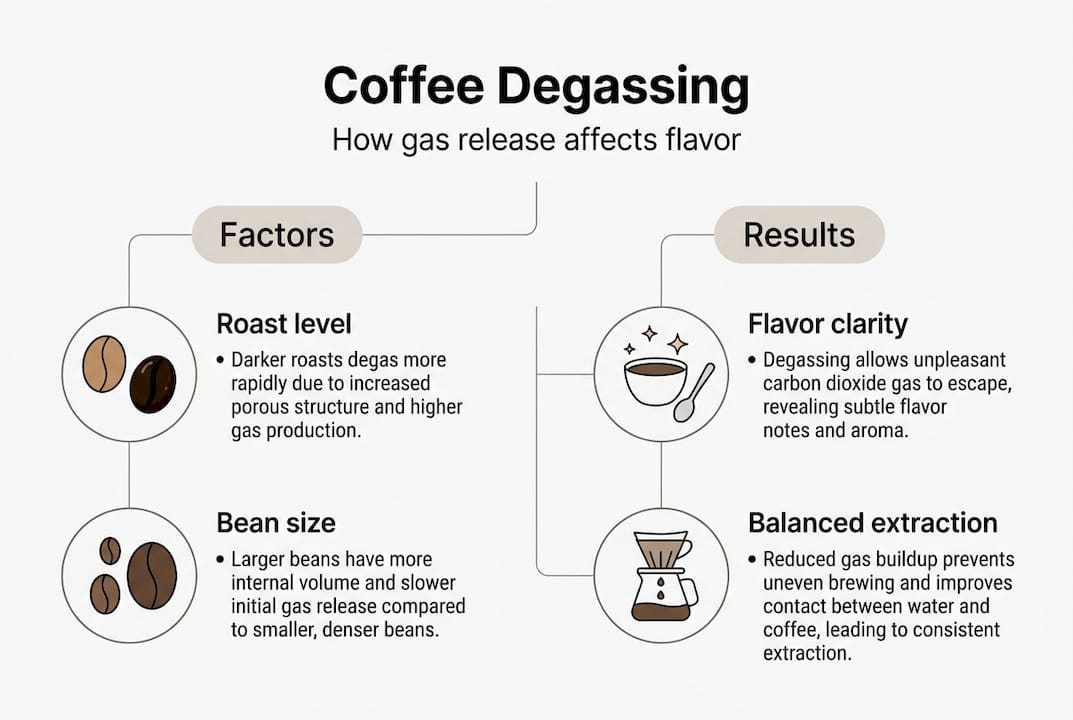 Infographic on coffee degassing factors