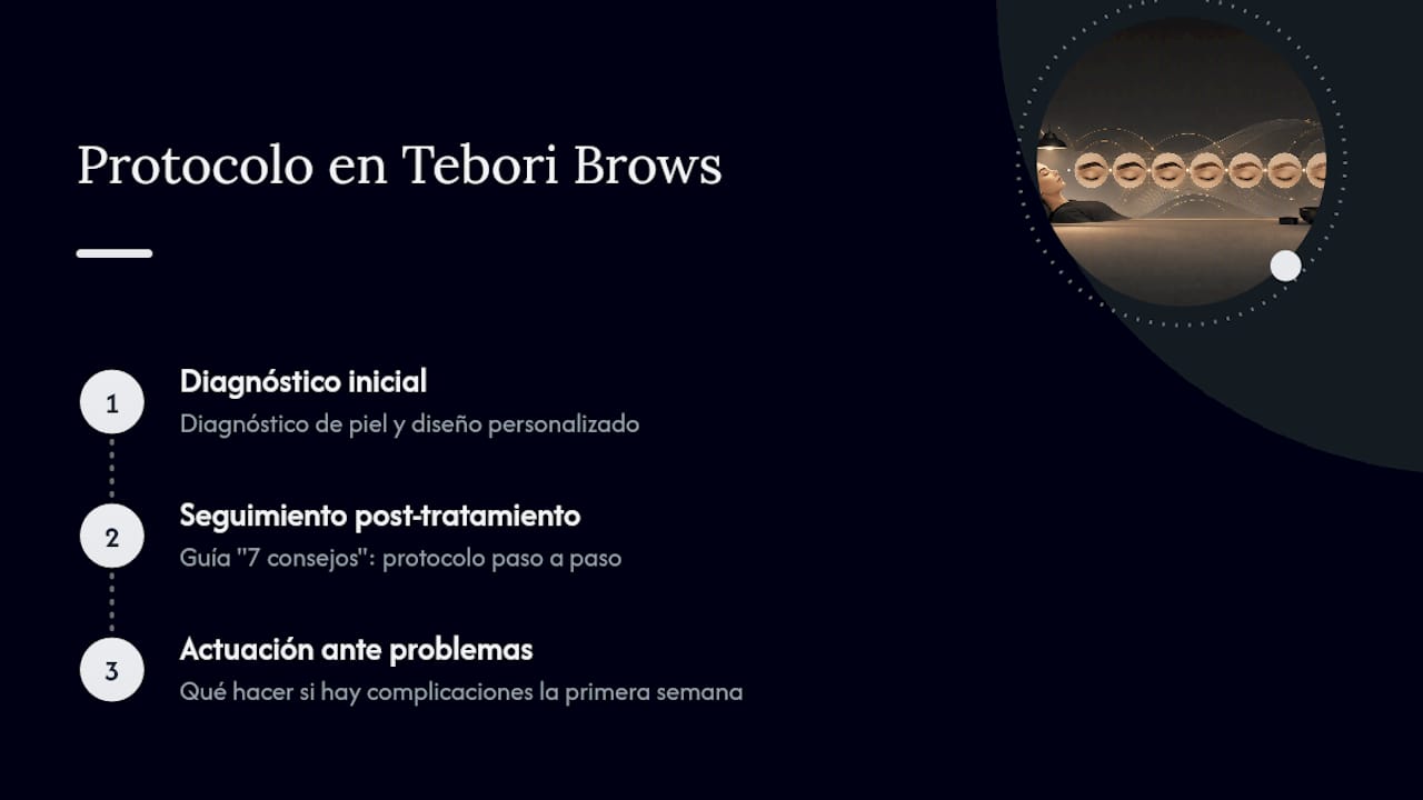 Protocolos de cuidado y seguimiento en Tebori Brows — overview diagram