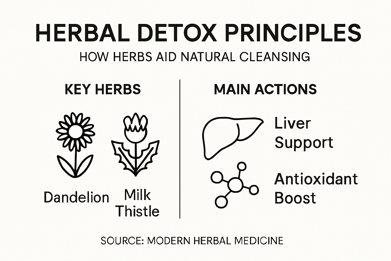 Infographic: herbal detox principles key actions