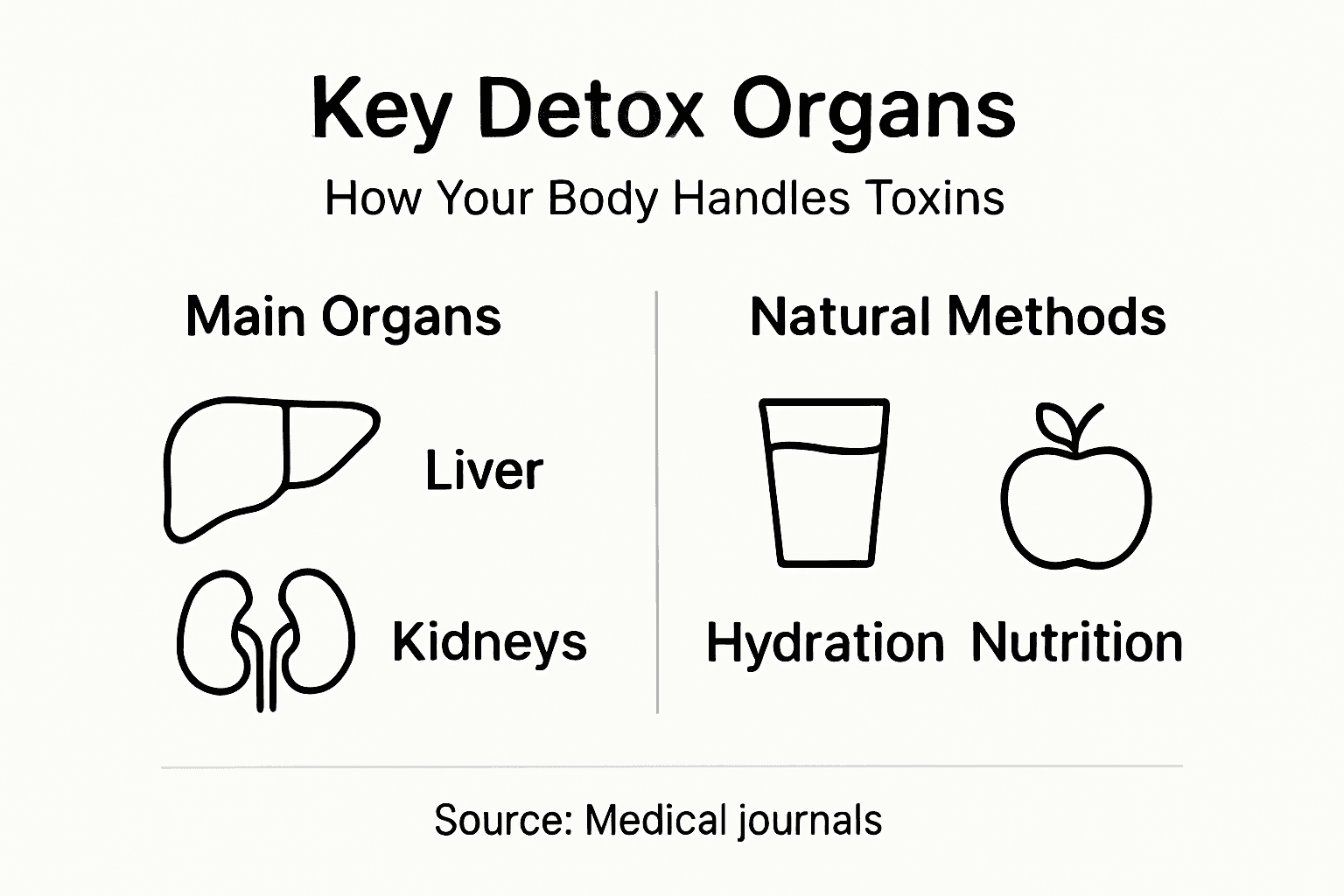Infographic showing detox organs and methods
