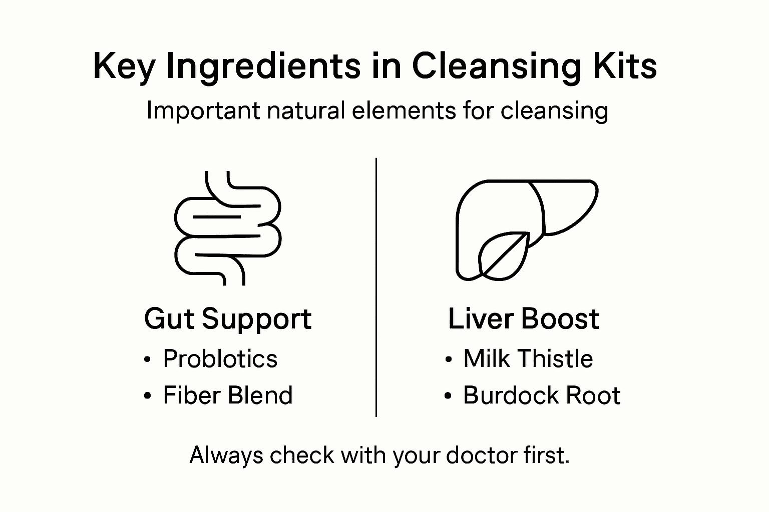Infographic of main cleansing kit ingredients