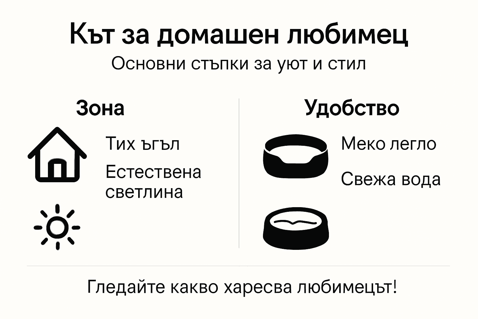 Инфографика: как да създадете уютен кът за вашия домашен любимец – стъпка по стъпка