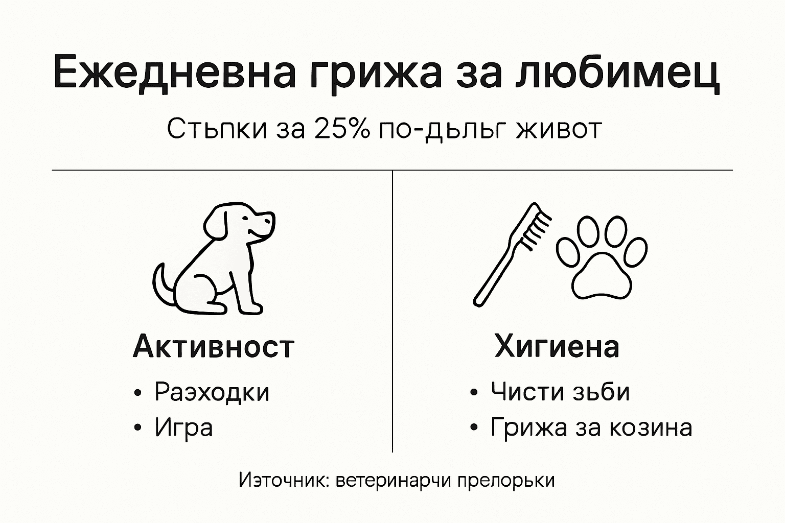 Инфографика: Основни стъпки за ежедневна грижа за домашния любимец