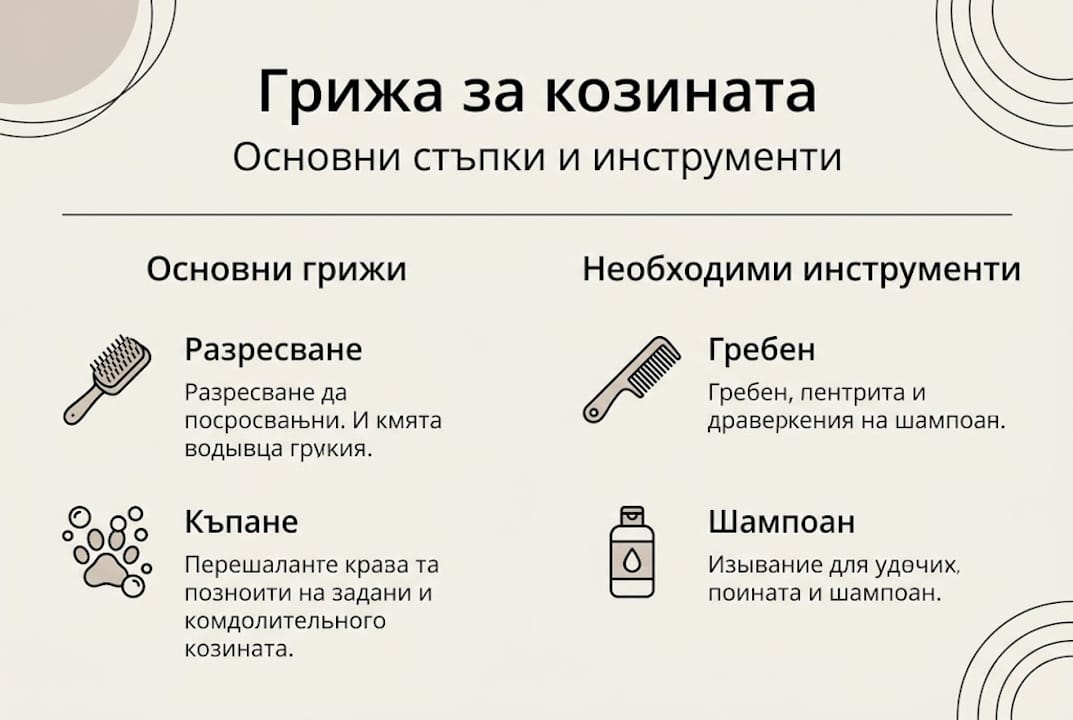Инфографика: Как да се грижим правилно за козината на домашния любимец
