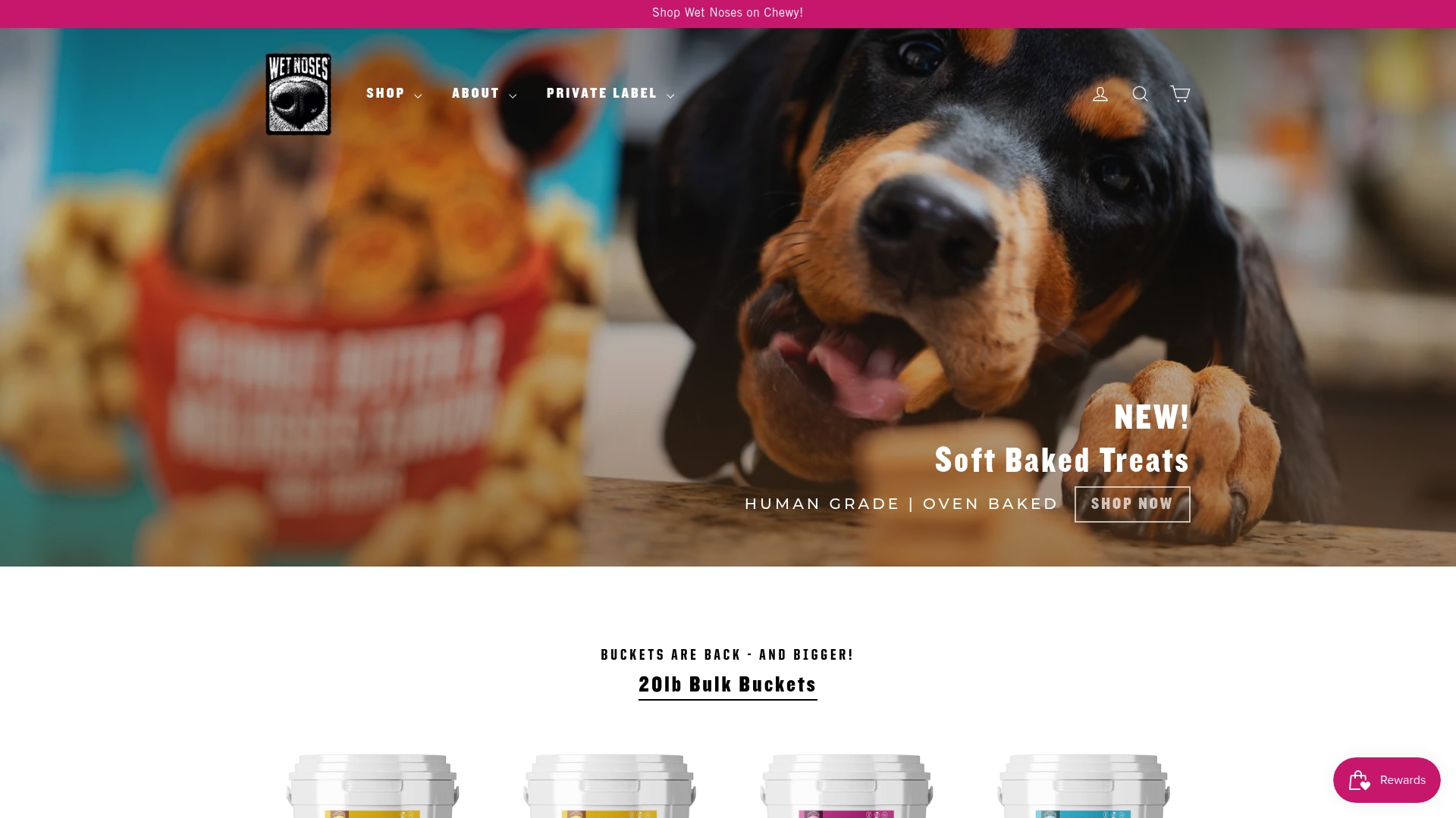 https://wet-noses.com
