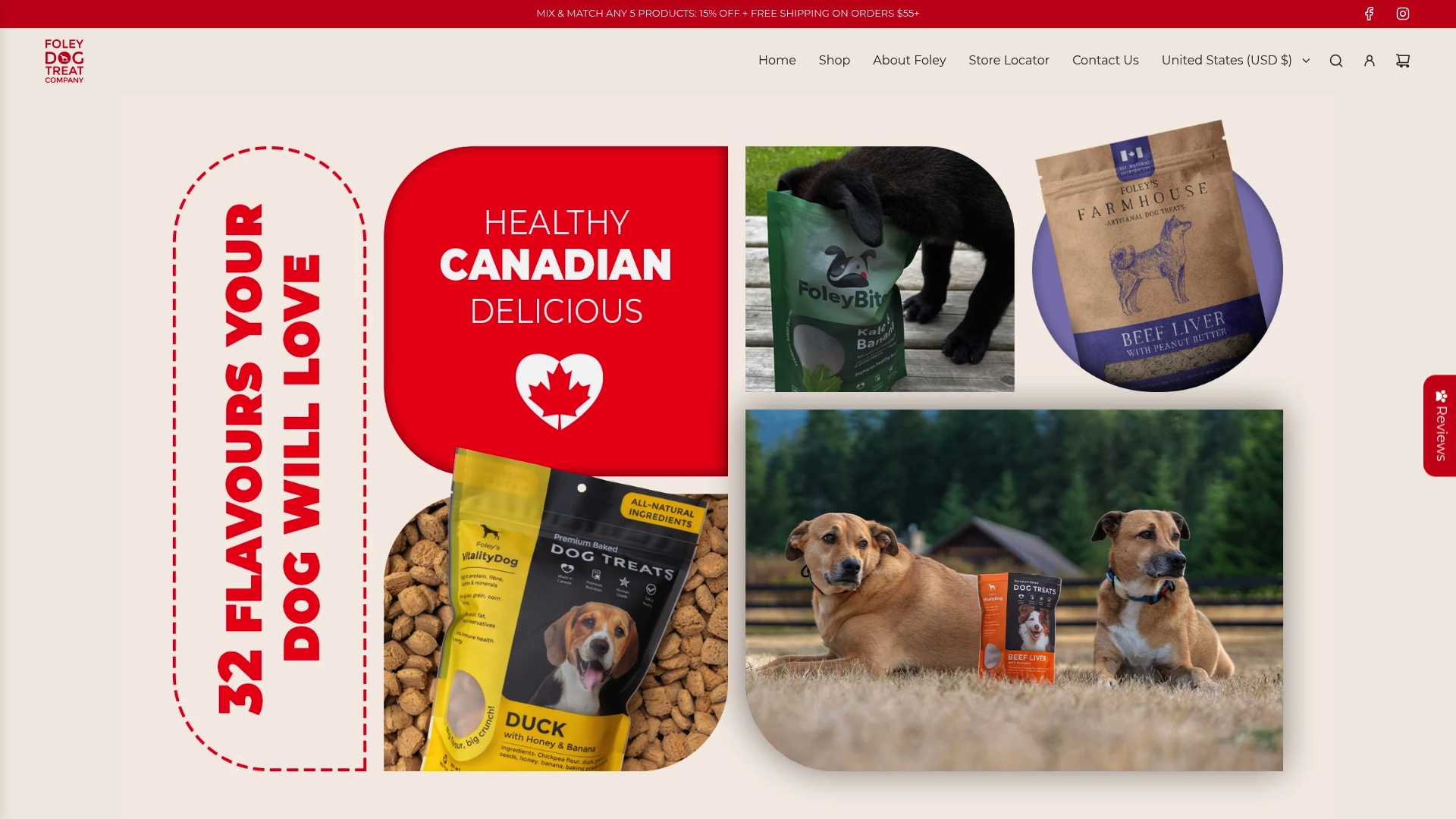 https://foleydogtreat.com