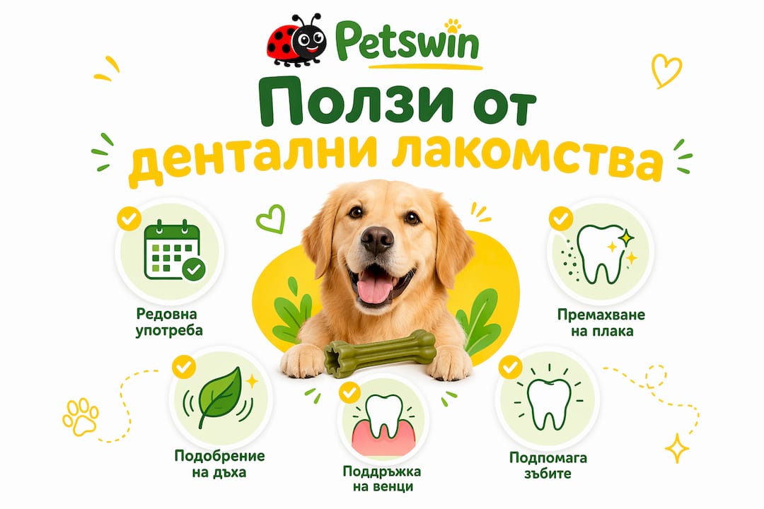 Инфографика: Защо си струва да давате дентални лакомства на вашия любимец